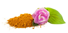 CURCUMA INTEGRATA IN POLVERE